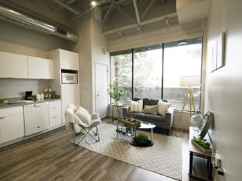 Luxurious living area